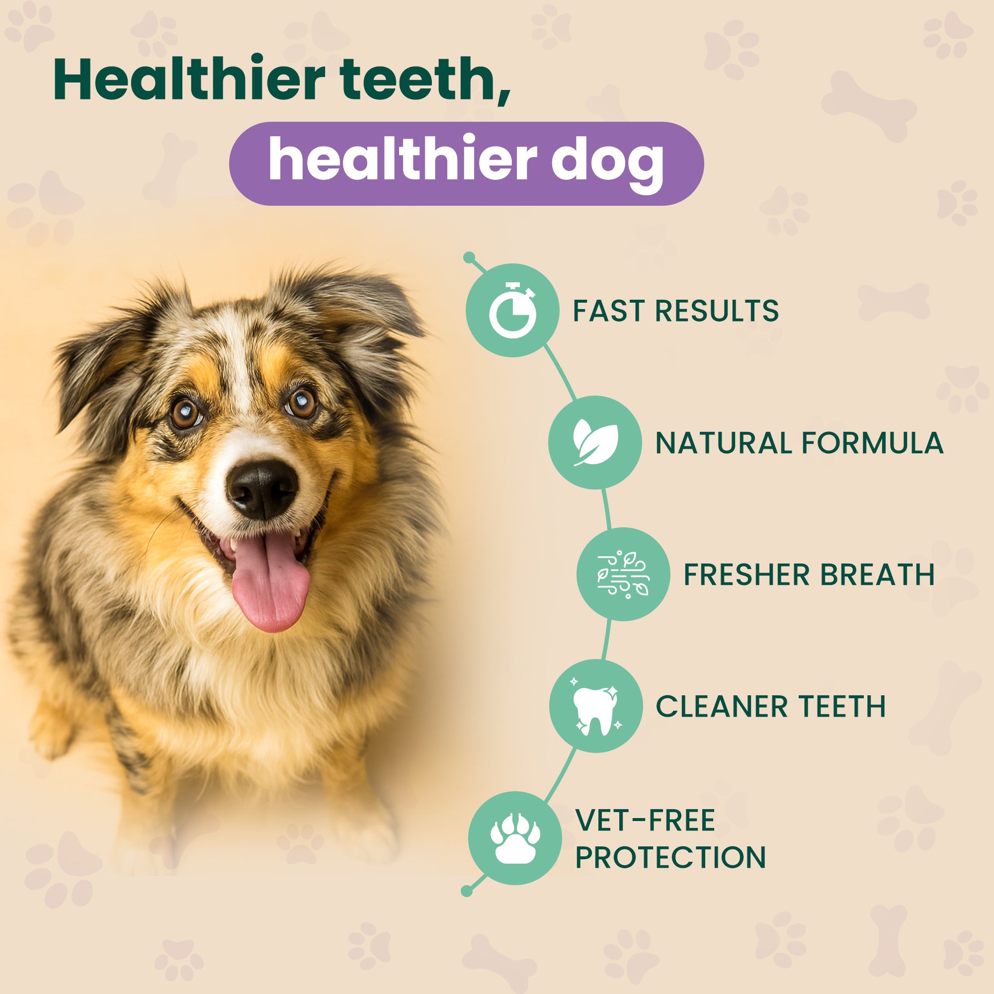 Oral Spray™ — PawNatural™ Formula for Dogs & Cats